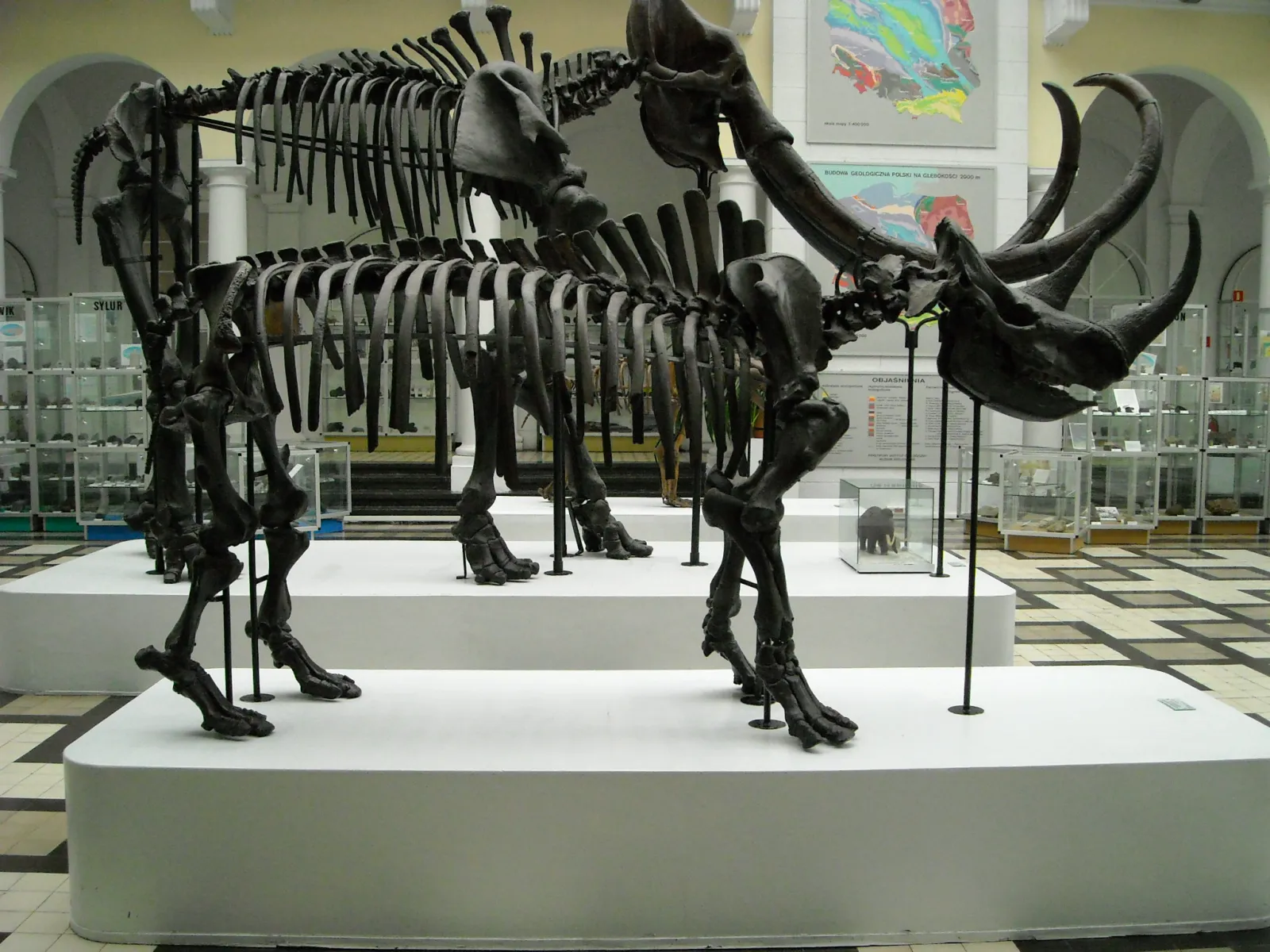 Muzeum Geologiczne Państwowego Instytutu Geologicznego - Państwowego Instytutu Badawczego